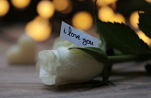 miluju tě a bílé růže